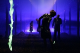 The Palm House... Buried. Photo: Matthew Andrews